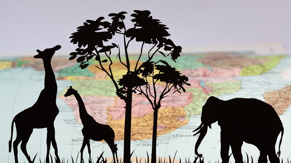 Mi a fővárosa Kenyának? Mi a fővárosa Kenyának?
