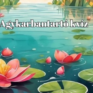 kvizek