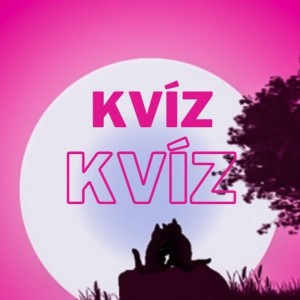 kvizek