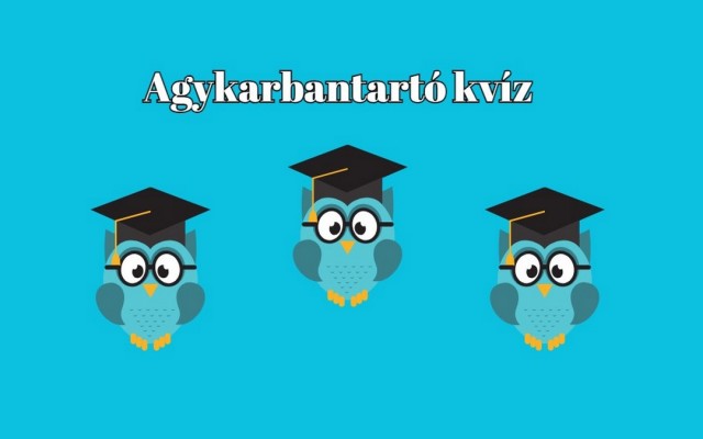 Kvízaréna: Profi kvízjátékos vagy? Játszd le most, és bizonyítsd be ezzel a kvízzel!