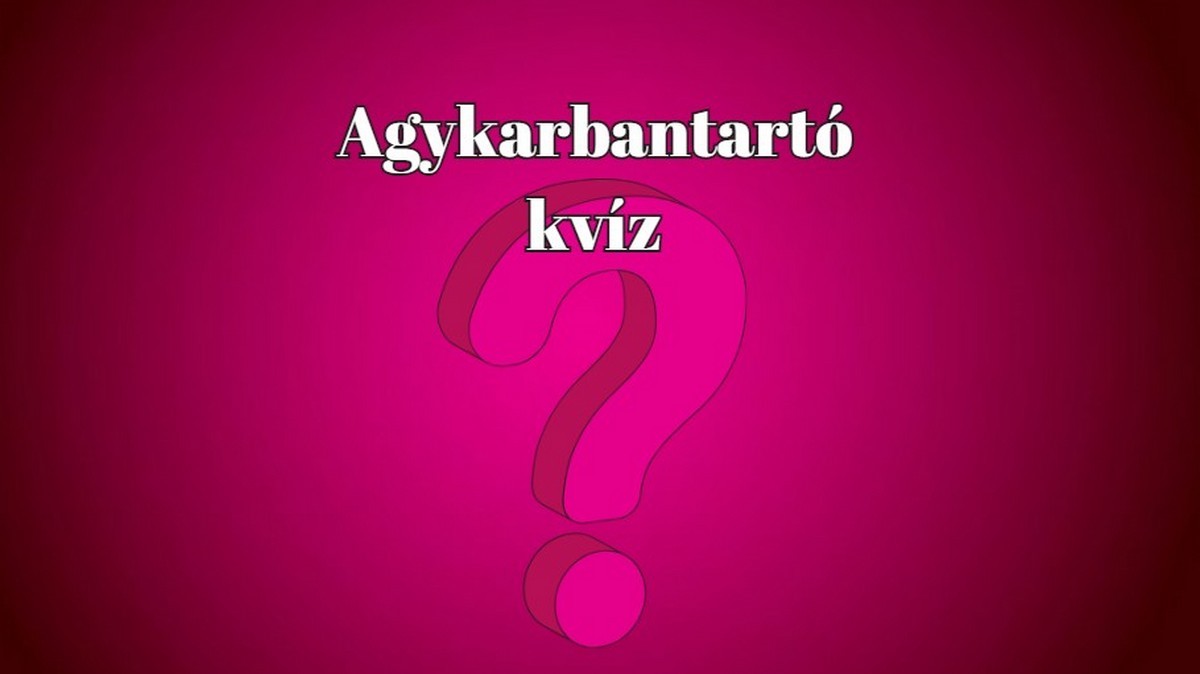 A gyűjtőerek másnéven a… A gyűjtőerek másnéven a…