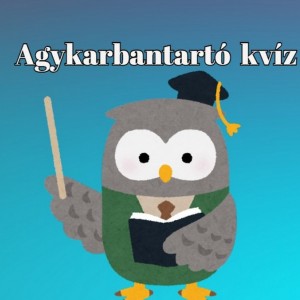 kvizek