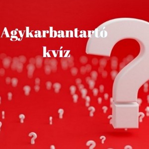 kvizek