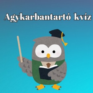 kvizek
