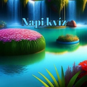 kvizek
