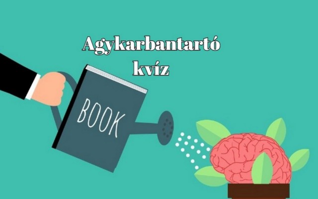 Kvízaréna: Ha szellemi kihívást keresel, itt egy szenzációs agykarbantartó kvíz