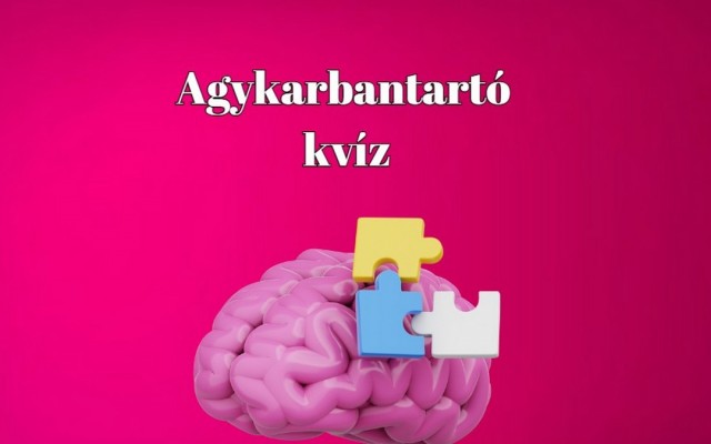 Ez a tudásvadász kvíz igazán megmozgatja az agytekervényeidet