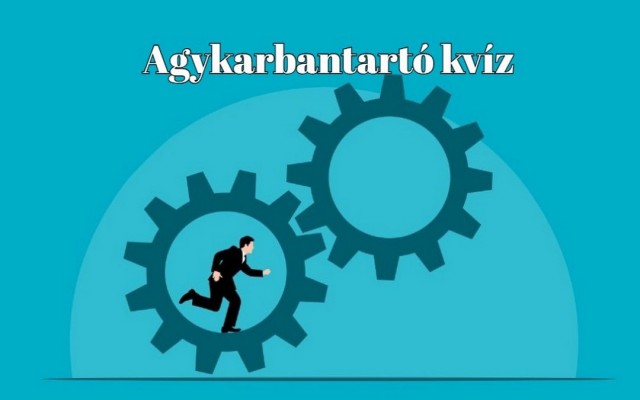 Napi észpörgető kvíz: csak a legjobbak képesek hibátlanul teljesíteni ezt a napi kvízt