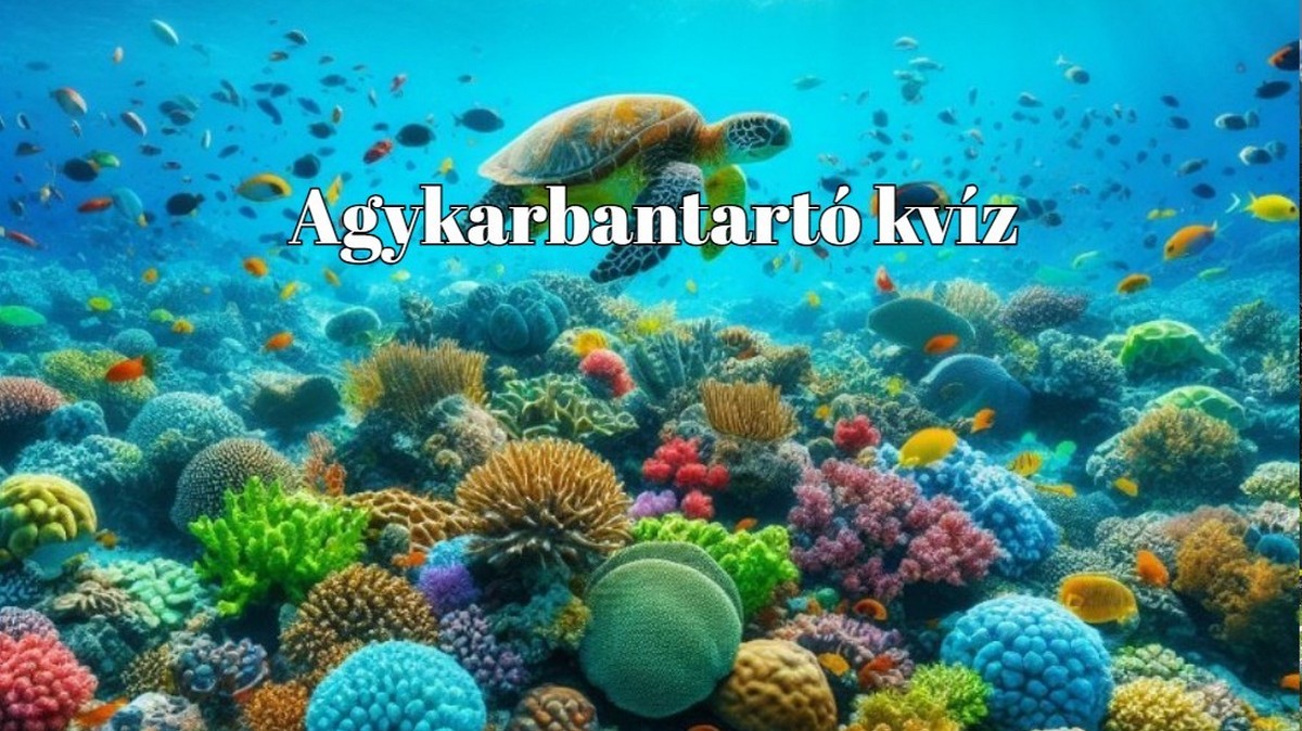 Melyik ázsiai ország pénzneme a ringgit? Melyik ázsiai ország pénzneme a ringgit?