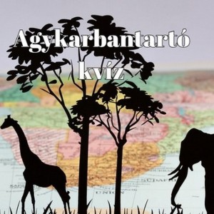 kvizek