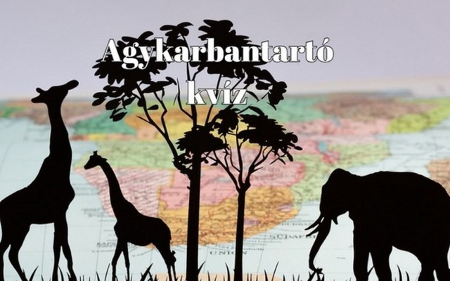 Kvízoázis: Már csak egy kattintásra vagy ettől a kétperces műveltségi kvíztől