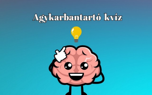 Agykarbantartó napi kvíz - Ez talán épp kapóra jött neked