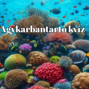 kvizek