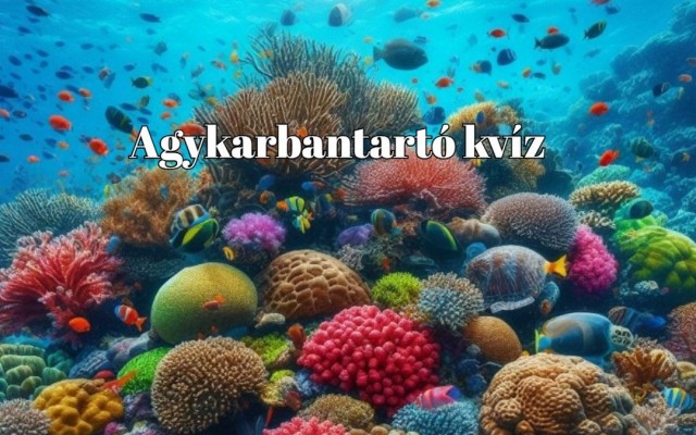Agykarbantartó kvíz: Ha egy kis kikapcsolódásra vágysz, kattints erre a kvízre és nem fogsz csalódni