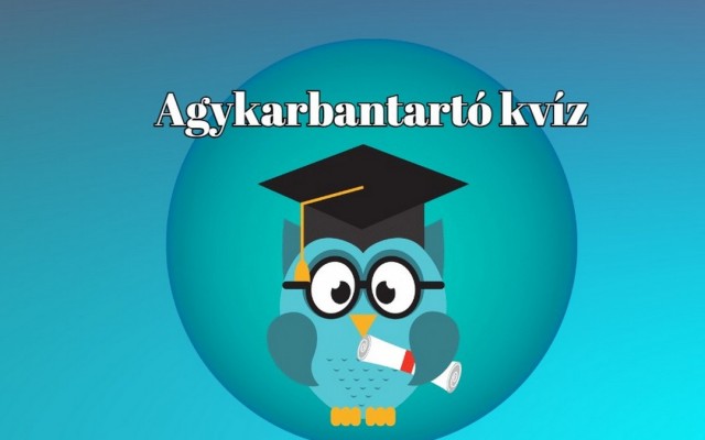Agykarbantartó kvíz - Büszke lehetsz magadra, ha kérdések felére legalább tudod a jó választ